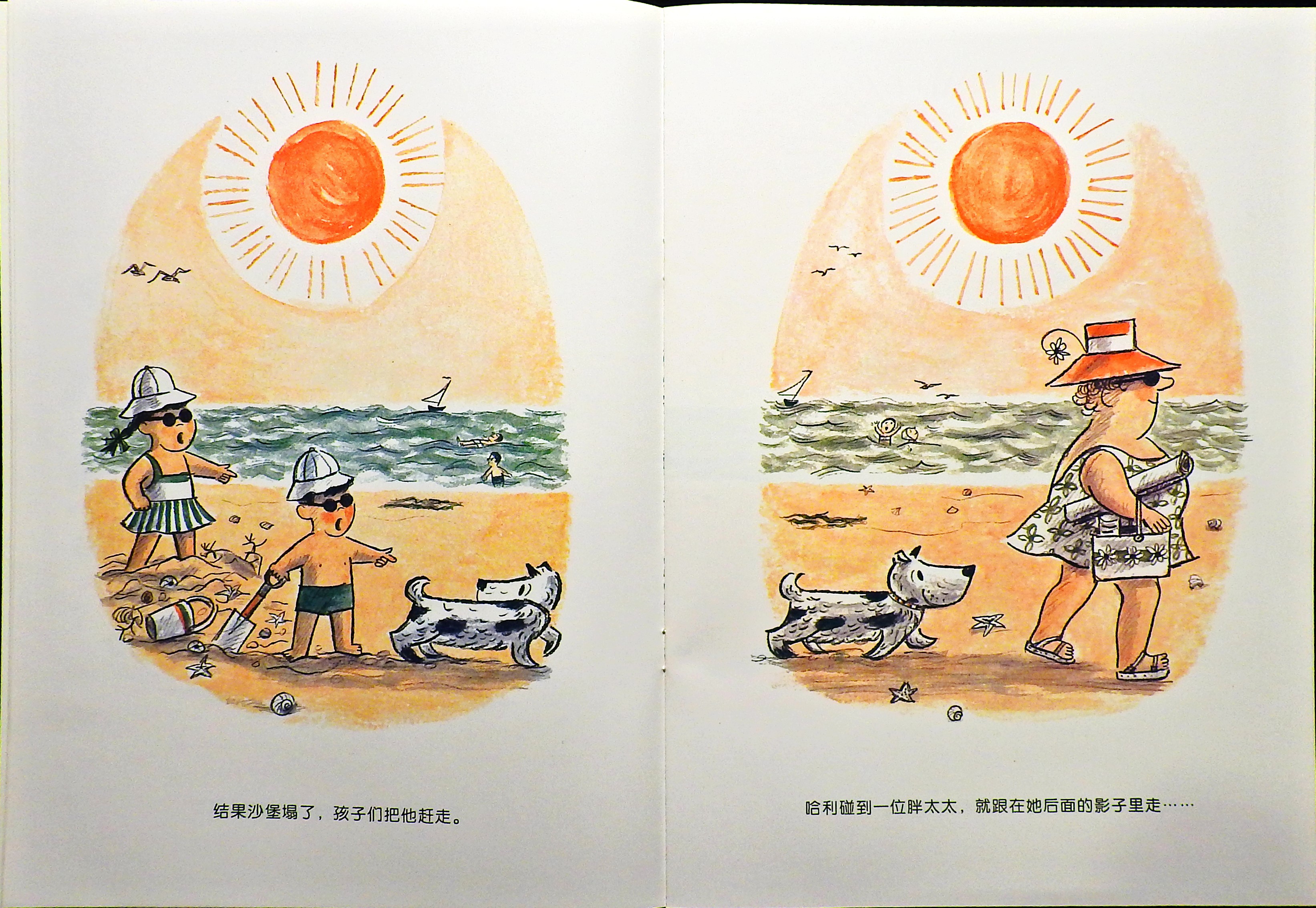 哈利海边历险记 (06),绘本,绘本故事,绘本阅读,故事书,童书,图画书,课外阅读